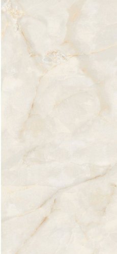 Slabs Polished Ostra Bianco Elegance 6mm  120×280